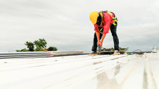Best Asphalt Shingles Roofing  in Deer Park, IL