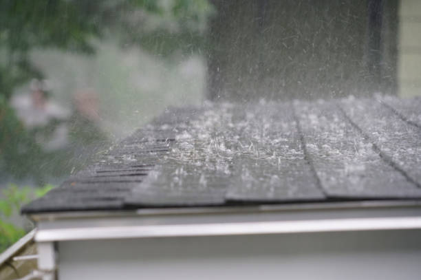 Best Metal Roofing Installation  in Deer Park, IL