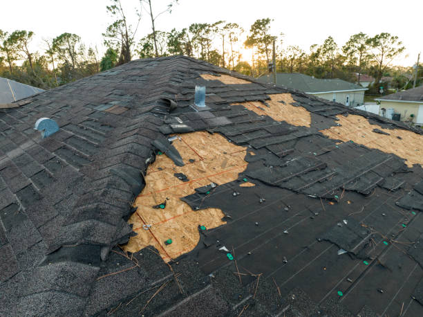Best Emergency Roof Repair Services  in Deer Park, IL