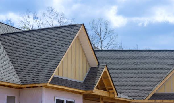 Best Roof Coating and Sealing  in Deer Park, IL