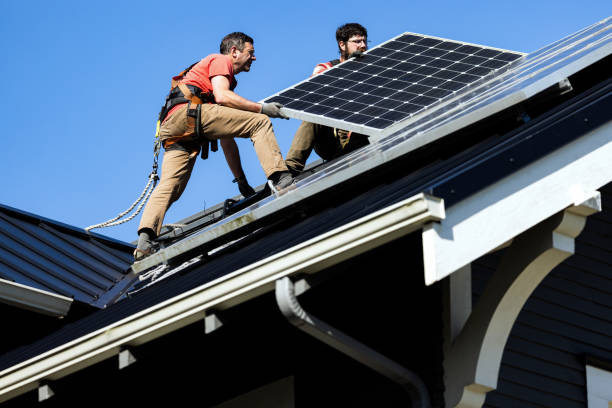 Best Skylight Installation and Repair  in Deer Park, IL